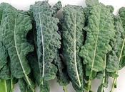 Dans assiette, bon, envies, nouveau