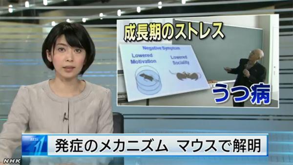 NHK anti-depression news