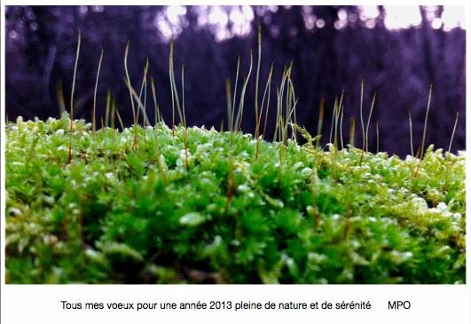 Bonne et belle année 2013