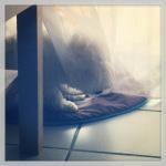 Mes jolis souvenirs #8