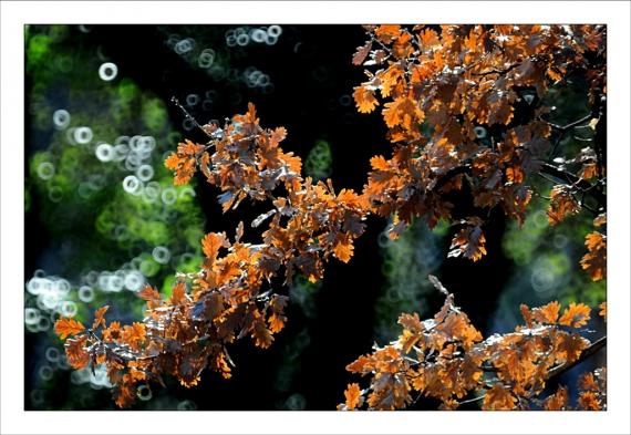 Jardins de la Fontaine, Nîmes, parcs, couleurs, lumière