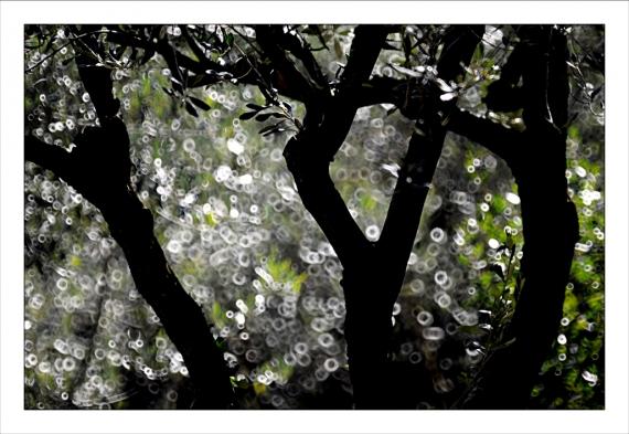 Jardins de la Fontaine, Nîmes, parcs, couleurs, lumière
