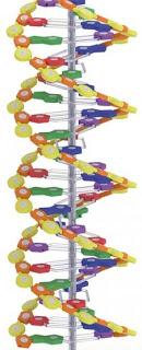 Les résultats sont là !