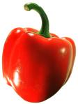 FOOD RED BELL PEPPER