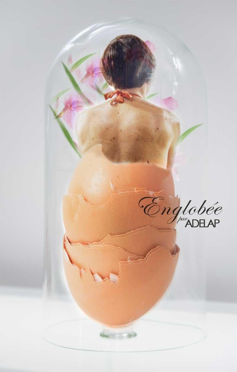 Collage :: Englobée par Adelap