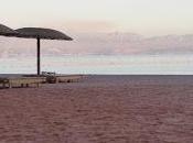 Quelques mots d'absence...