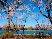 choses voir Pékin (Partie