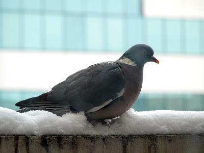 De retour de vacances