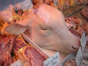 Je suis un fier héritier des régicides de 1793 Tête de veau