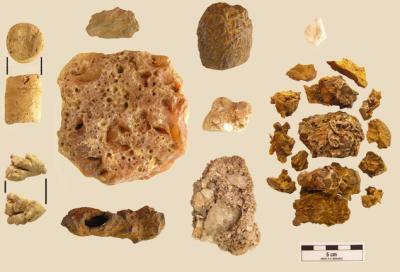 Des pierres Chamanes datant de 4000 ans découvertes au Panama