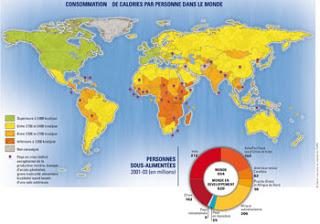 Impact des politiques agricoles sur la consommation de calories