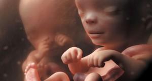 le mystère des jumeaux