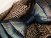 nœuds papillons sublimés plumes