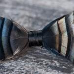 Des nœuds papillons sublimés de plumes  !