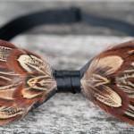 Des nœuds papillons sublimés de plumes  !