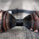 Des nœuds papillons sublimés de plumes  !