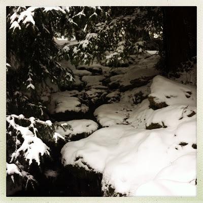 LES SISTERS SOUS LA NEIGE