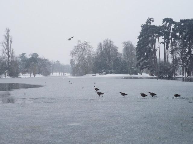 LES SISTERS SOUS LA NEIGE