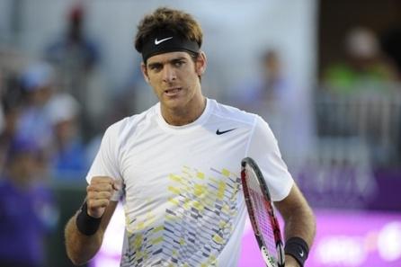 Coupe davis : Nalbadian OK, Del Potro forfait