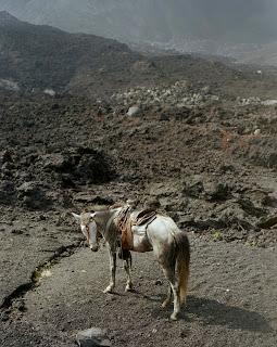 les images du we....