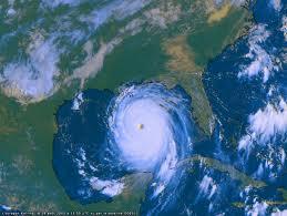 Bois sauvage... Jesmyn Ward