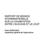 code rural l’assurance prédation dans rapport Bracque 1999