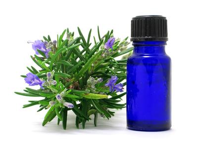 rosemary herb & oil