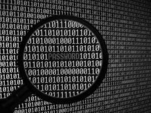 3238029478_aa1df44c98