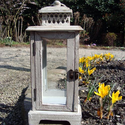 Sélection dernière pièce disponible, profitez en vite sur notre...