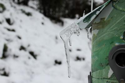 Il ne fait pas un temps à mettre un oiseau dehors !