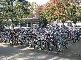 UC Davis, les vélos
