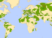 Nucléaire contre tous autres ???!...( schistes