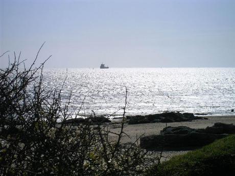 C'est maintenant officiel La poésie a pris le maquis tard...