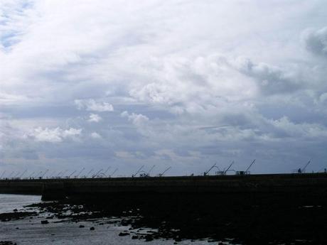 C'est maintenant officiel La poésie a pris le maquis tard...