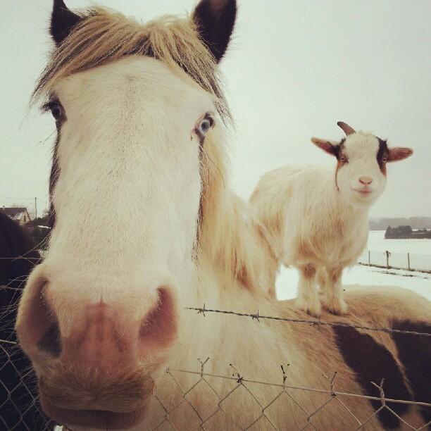 jusqu'ici tout va bien