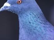 Taxe plus-values cession injustice criminelle