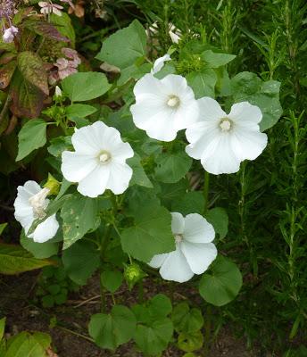 & the winners are...