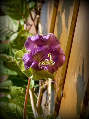 & the winners are...