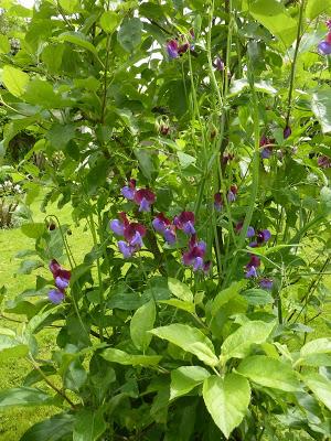 & the winners are...