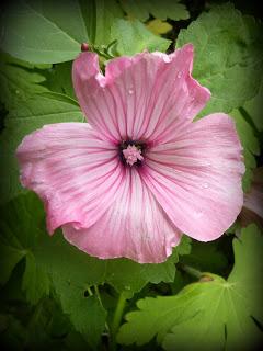 & the winners are...