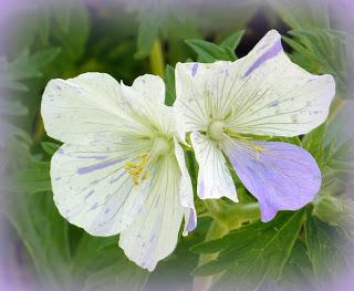 & the winners are...