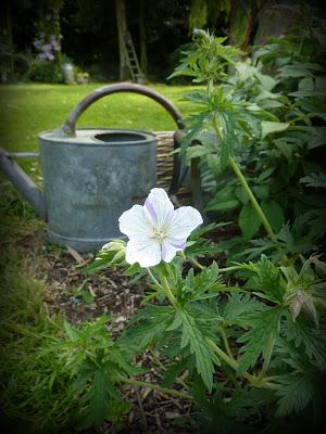 & the winners are...