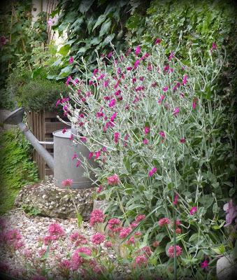 & the winners are...