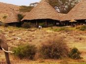 Etes-vous prêts pour l’aventure Africaine?