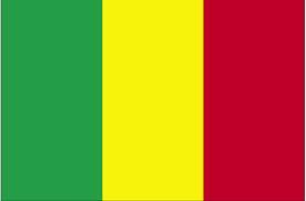 mali1236