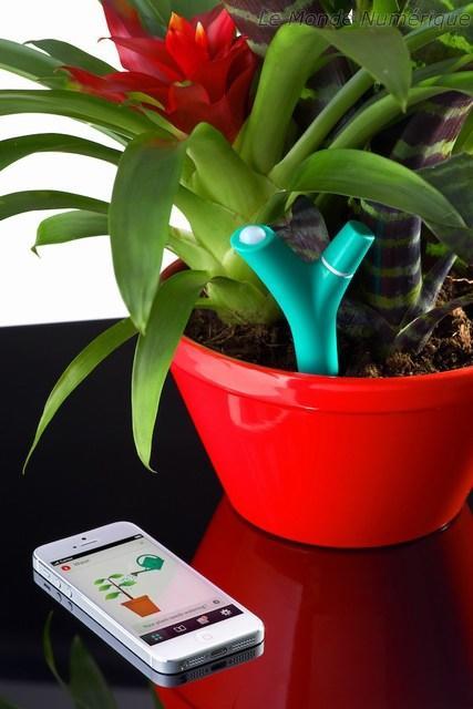CES 2013 : Parrot Flower Power pour suivre la santé des plantes depuis son smartphone