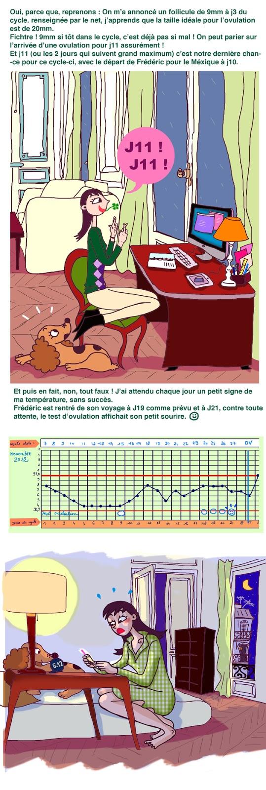 28. De toutes façons, les follicules n'en font qu'à leur tête