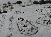 banché terre-chanvre