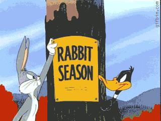 1235471162_duckrabbitseason