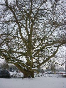 Libfly et les blogueuses visitent Lille avec Michel Quint ! P1170981